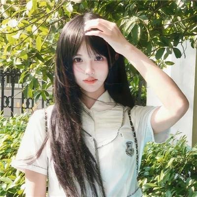 野兽们的熟睡